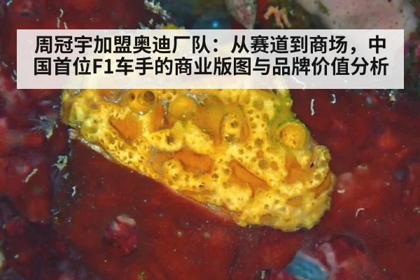 周冠宇加盟奥迪厂队：从赛道到商场，中国首位F1车手的商业版图与品牌价值分析